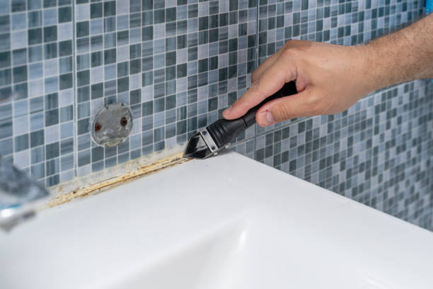 Best Black Mold Remediation in New Brockton, AL